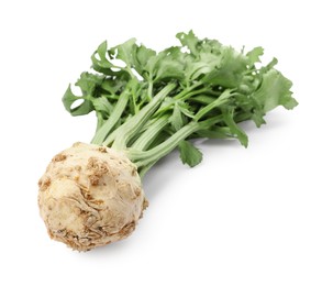 Photo of Fresh raw celery root with stalks isolated on white