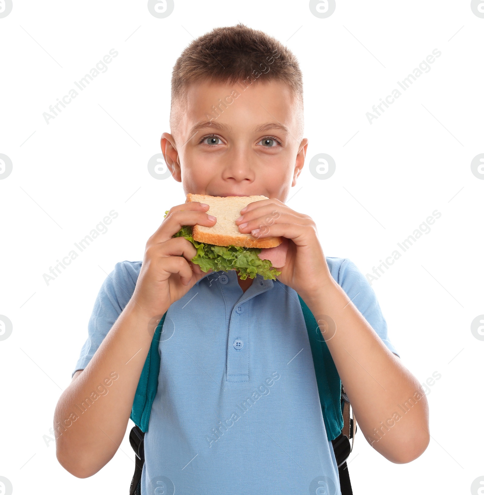 Photo of Little boy eating sandwich on white background. Healthy food for school lunch