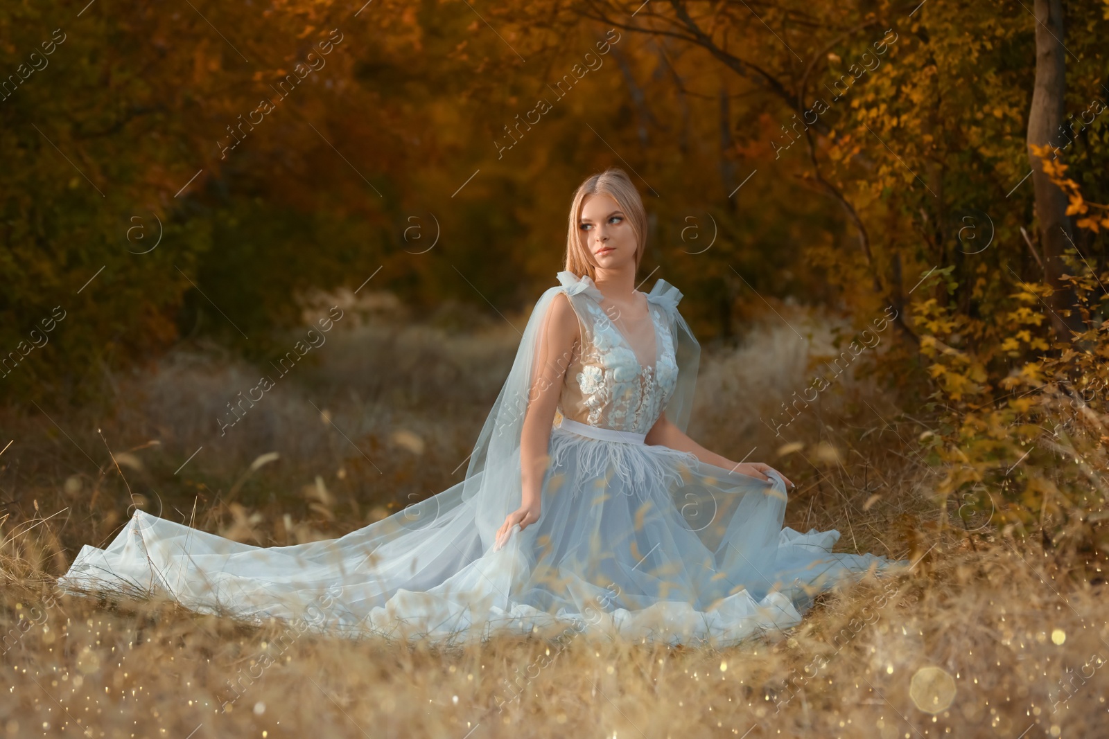 Photo of Beautiful girl wearing fairy dress in autumn forest