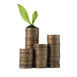 Photo of Stacks of coins and green plant on white background. Investment concept