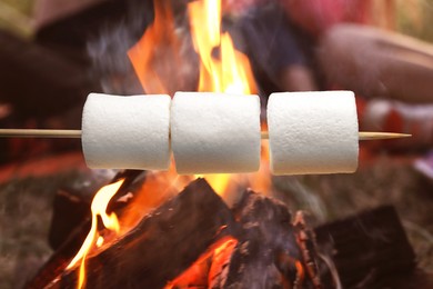 Image of Delicious puffy marshmallows roasting over bonfire outdoors