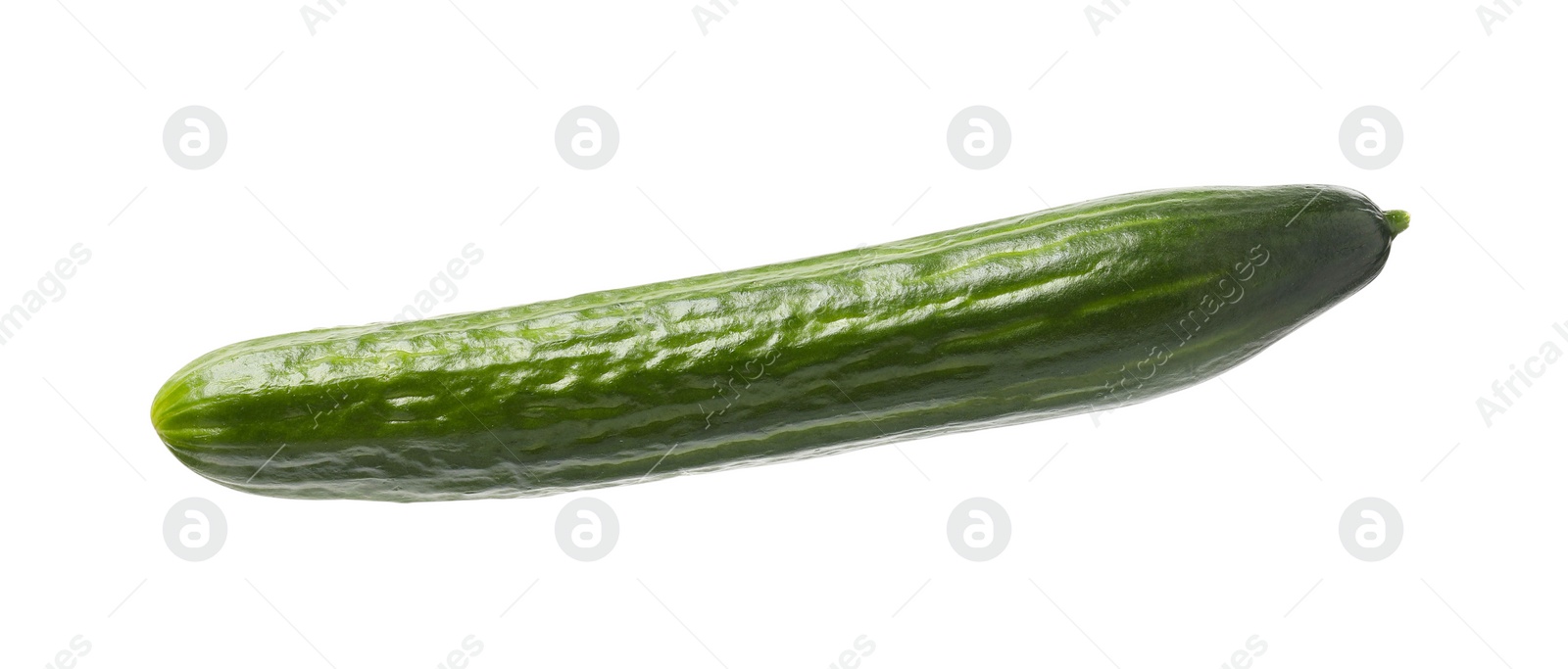 Photo of One long fresh cucumber isolated on white