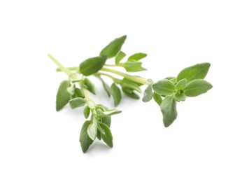 Photo of Aromatic thyme sprig on white background. Fresh herb