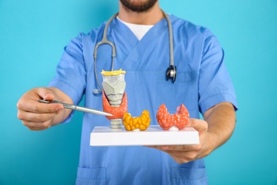 Photo of Endocrinologist showing thyroid gland models on light blue background, closeup