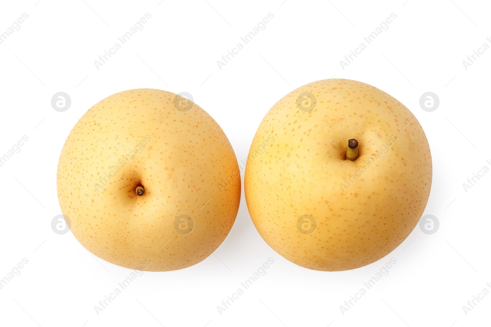 Photo of Two fresh ripe apple pears isolated on white, top view