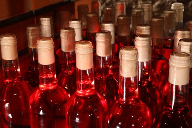 Photo of Many bottles of red wine, closeup view