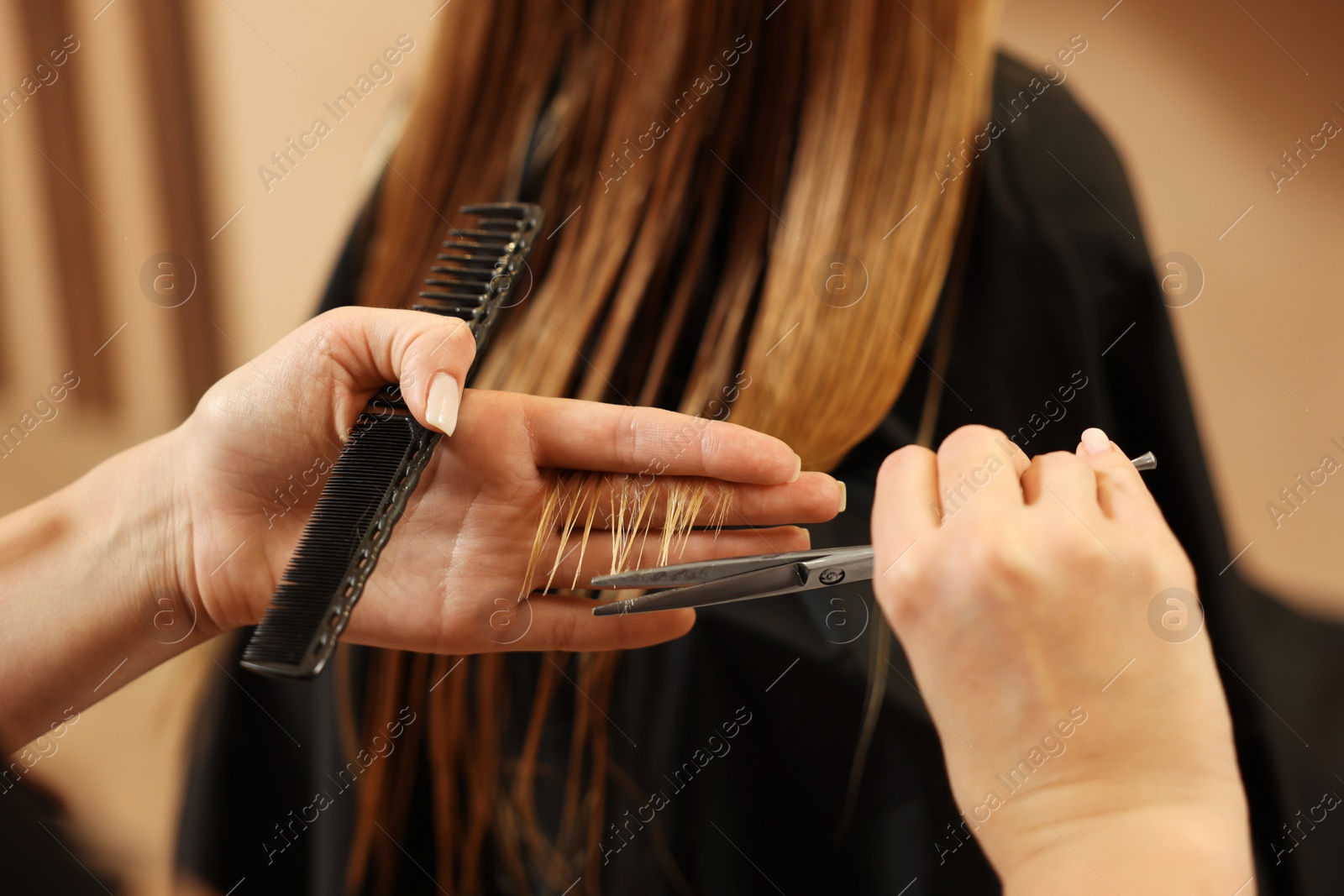 Photo of Professional hairdresser cutting girl's hair in beauty salon, closeup