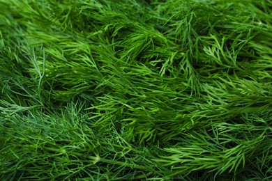 Green fresh dill as background, closeup view