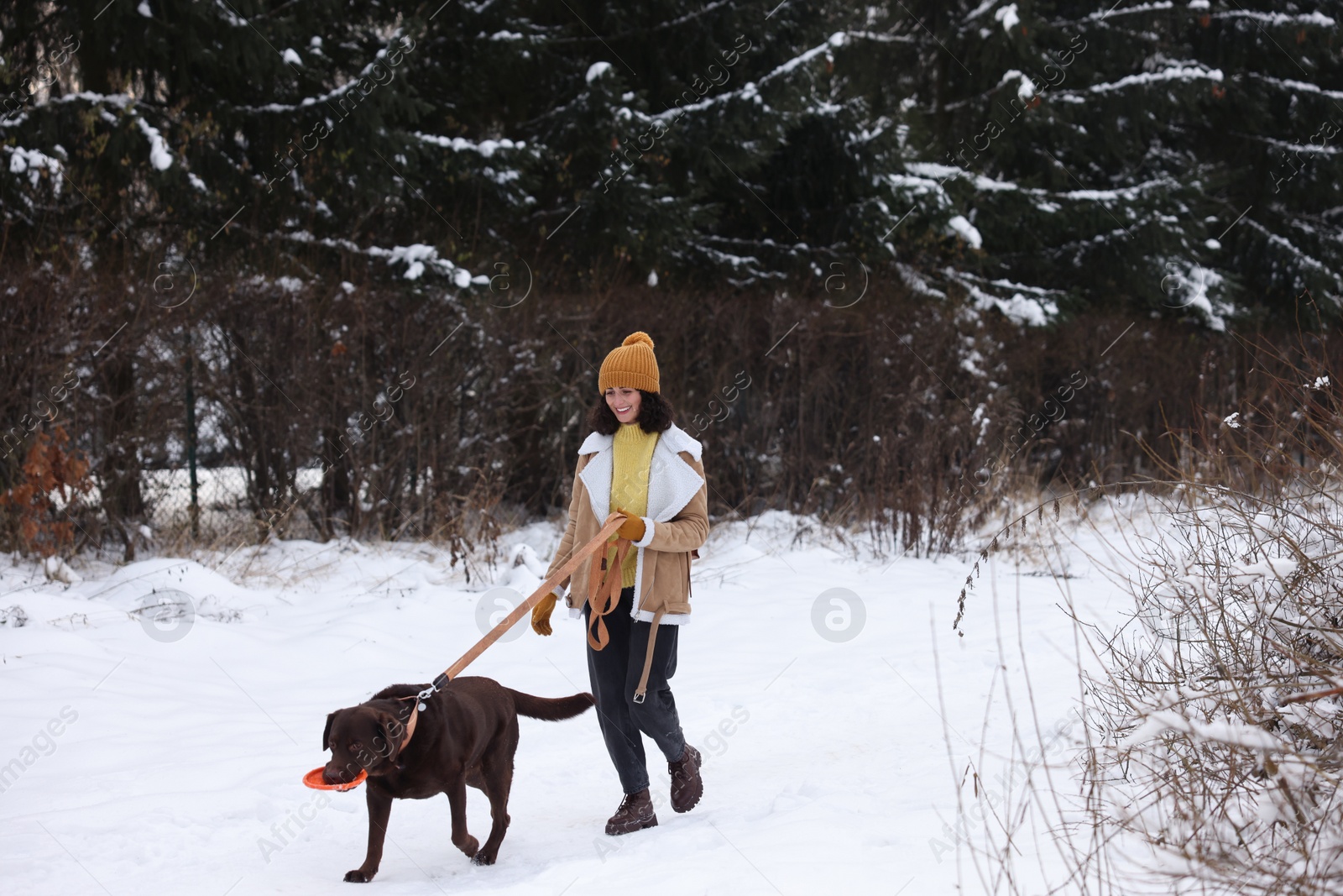 Photo of Woman and her dog playing with flying disk in snowy park