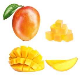 Image of Set with delicious ripe mangos on white background