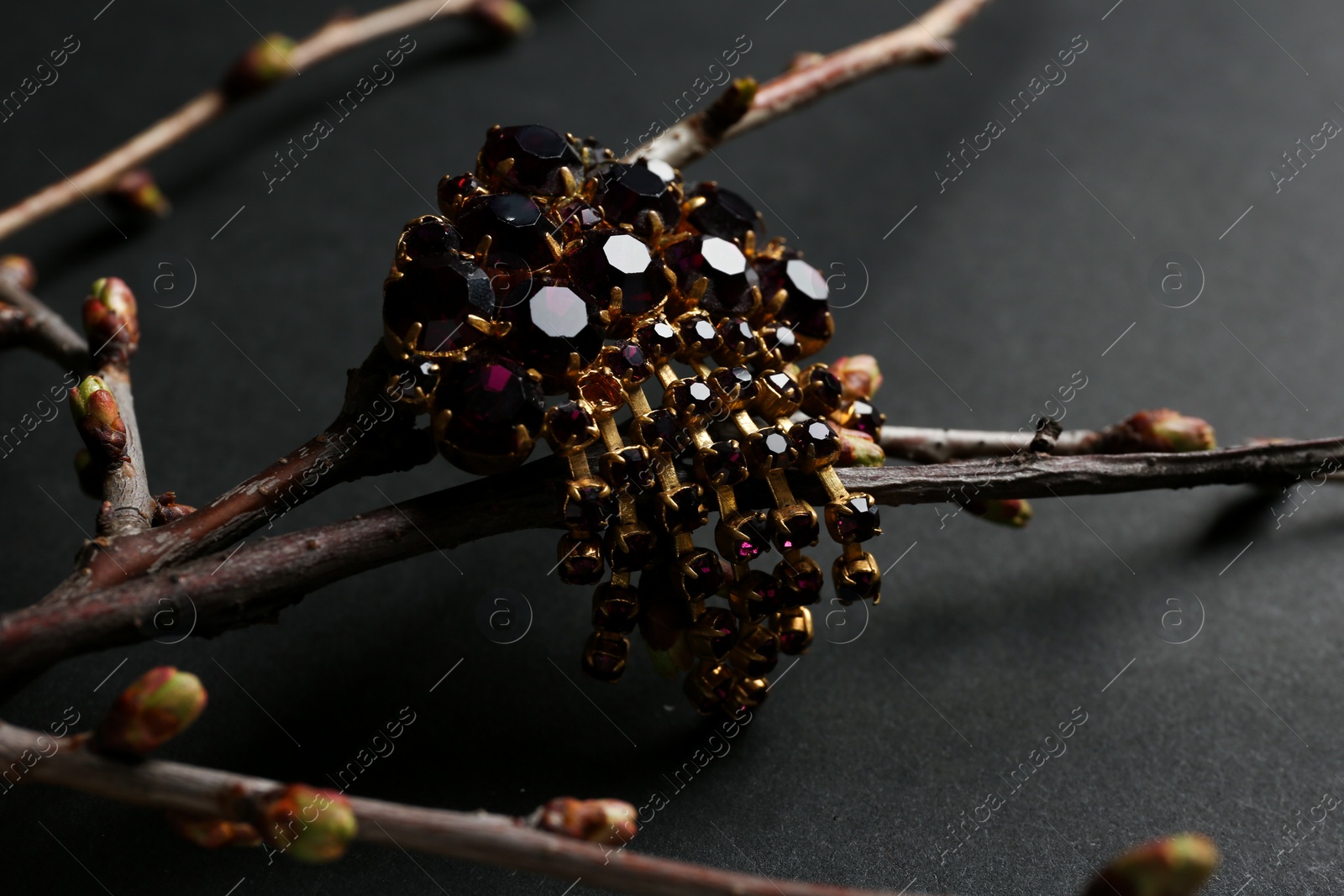 Photo of Branches with beautiful jewelry on black background