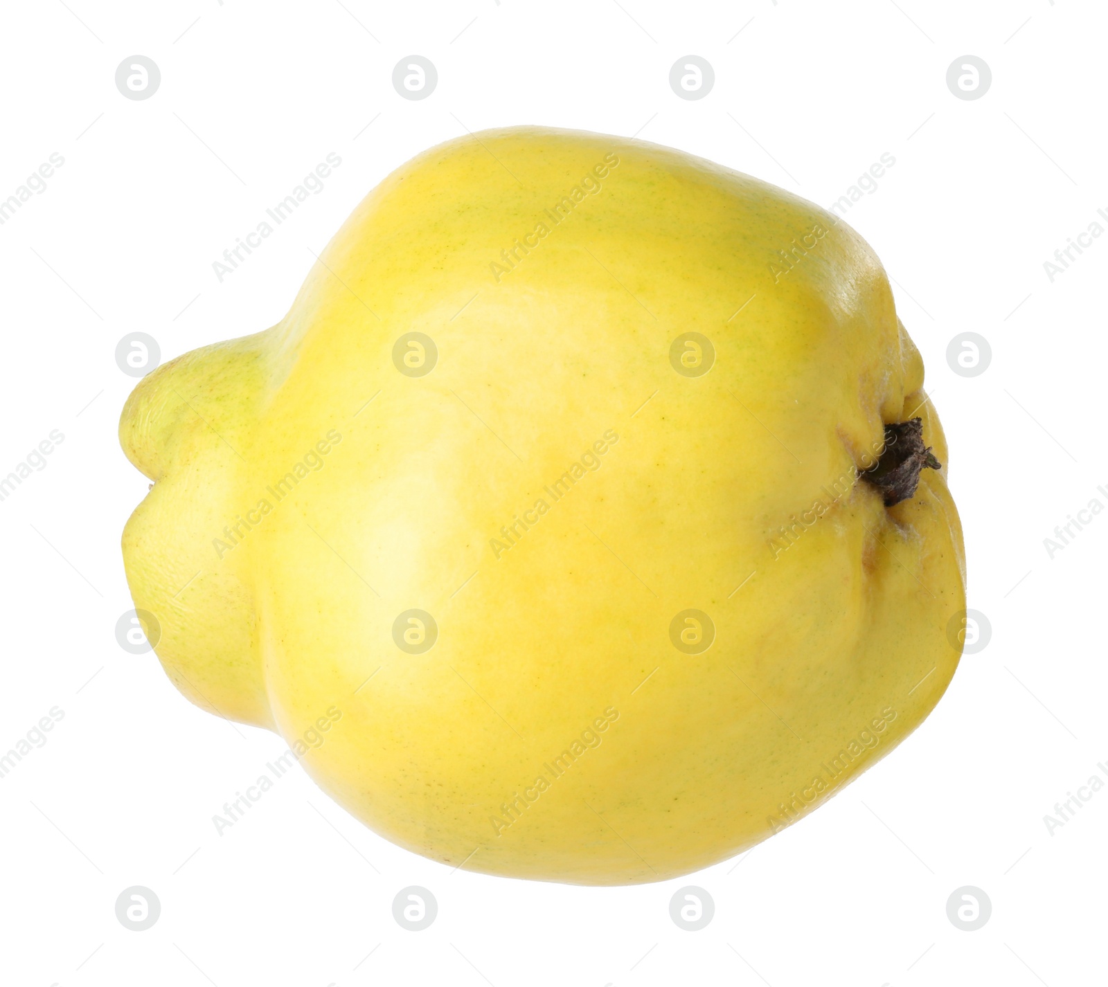 Photo of Delicious fresh ripe quince isolated on white