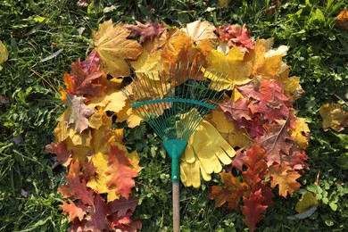 Photo of Rake and fall leaves on grass outdoors, top view
