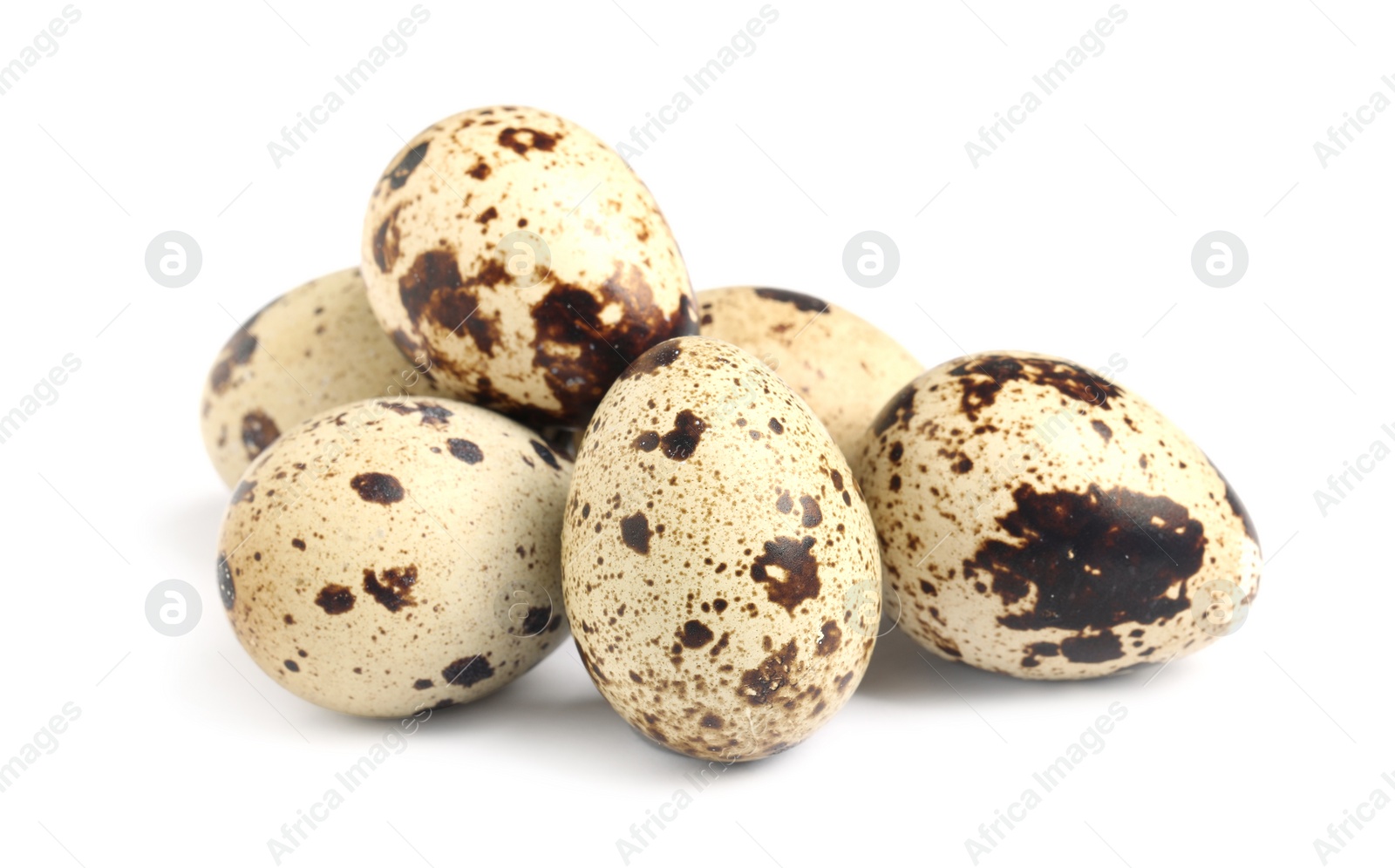 Photo of Many beautiful quail eggs on white background