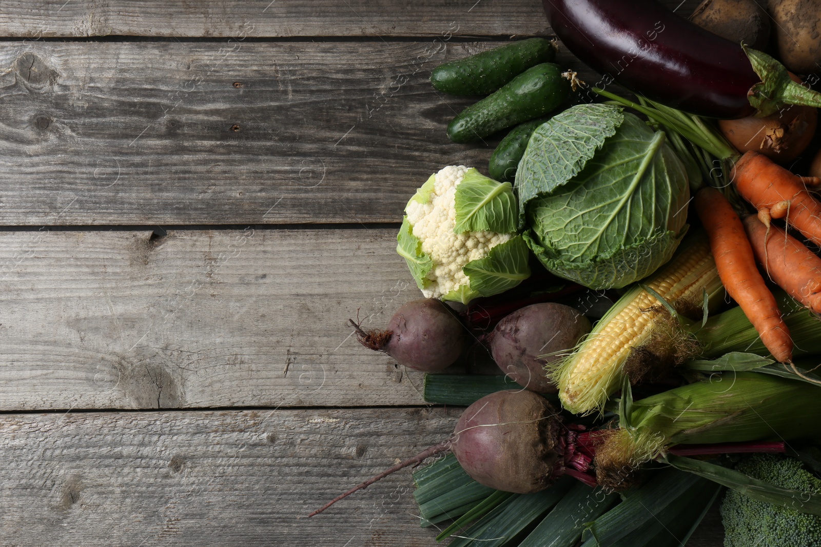 Photo of Different fresh ripe vegetables on wooden table, flat lay with space for text. Farmer produce