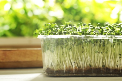 Sprouted arugula seeds in plastic container on wooden table, closeup