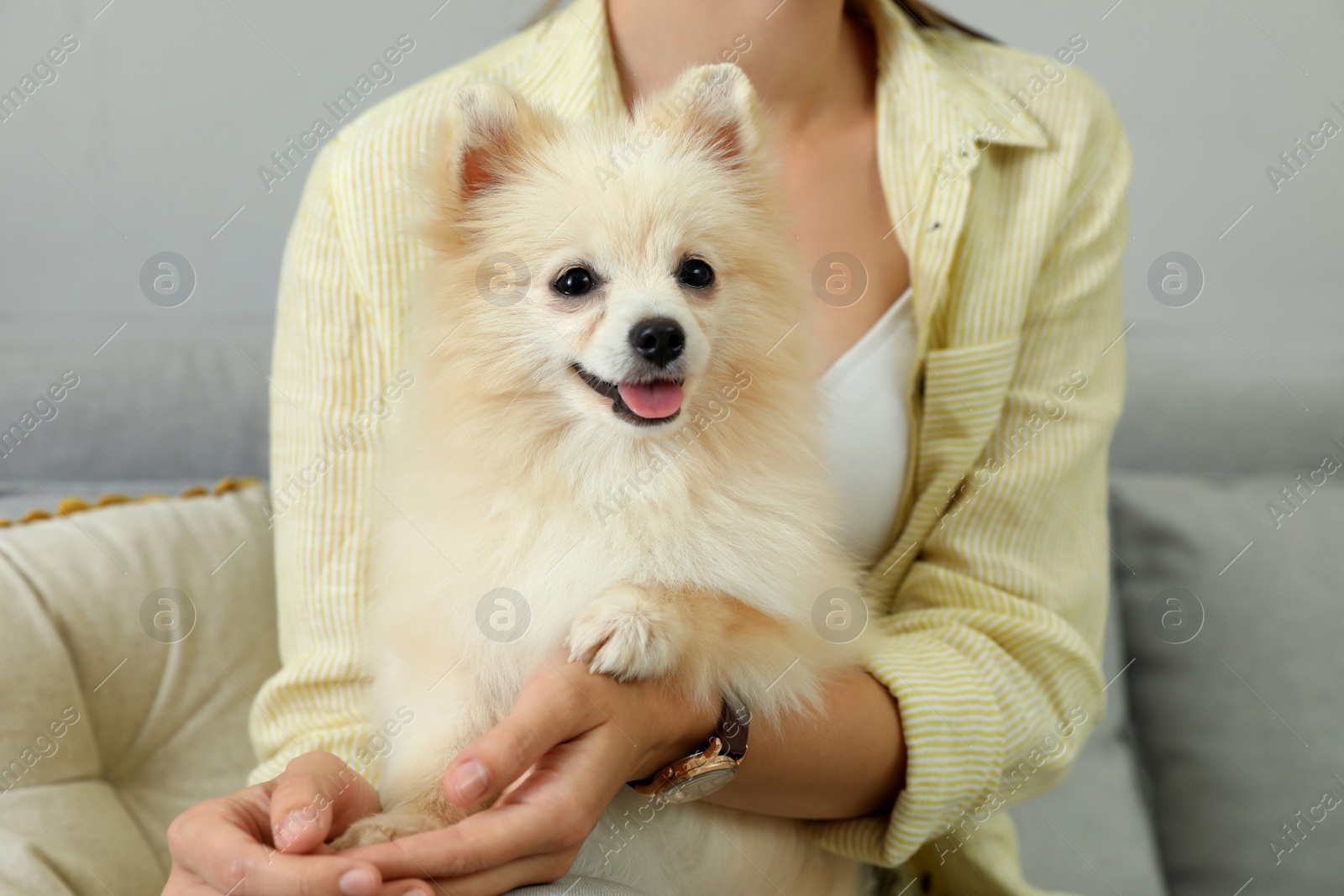 Photo of Woman with cute dog on sofa in living room, closeup