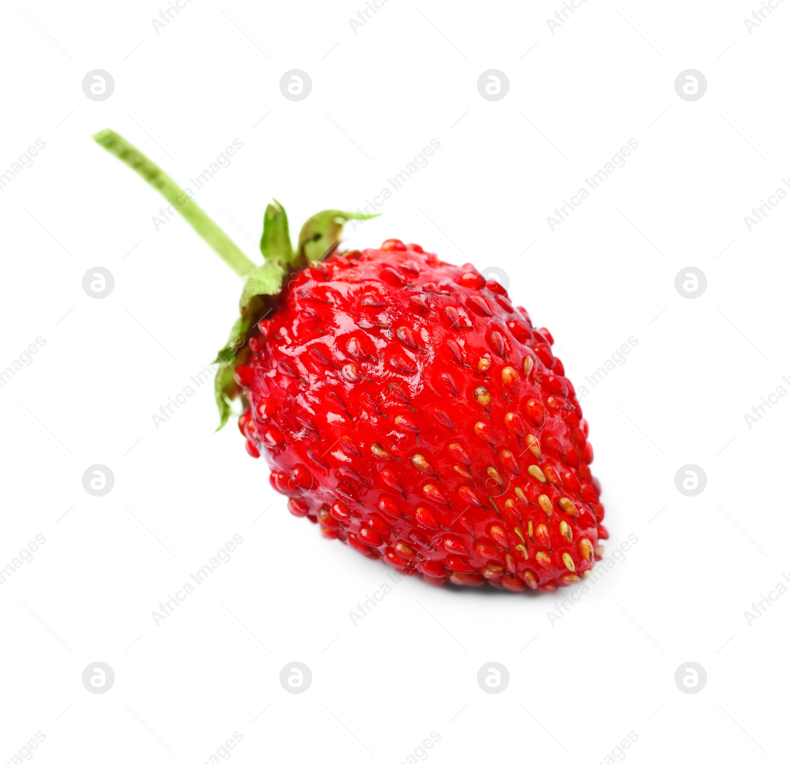 Photo of One ripe wild strawberry isolated on white