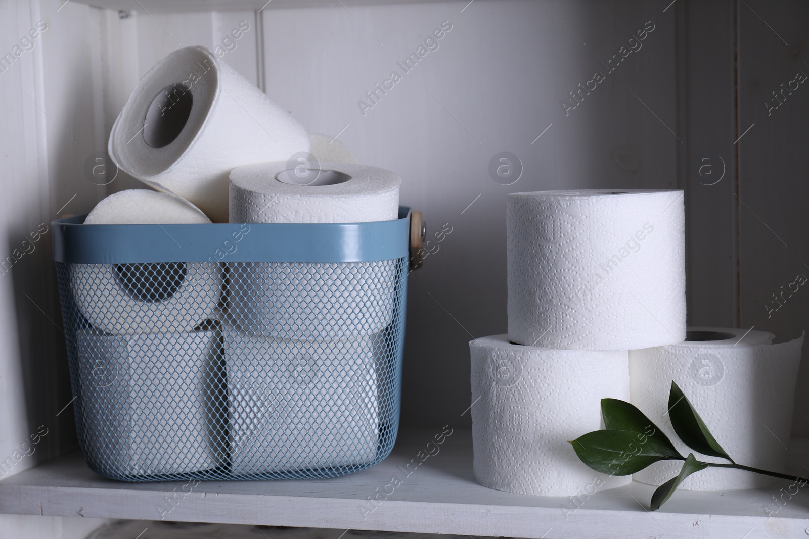 Photo of Toilet paper rolls and green leaves on white shelf