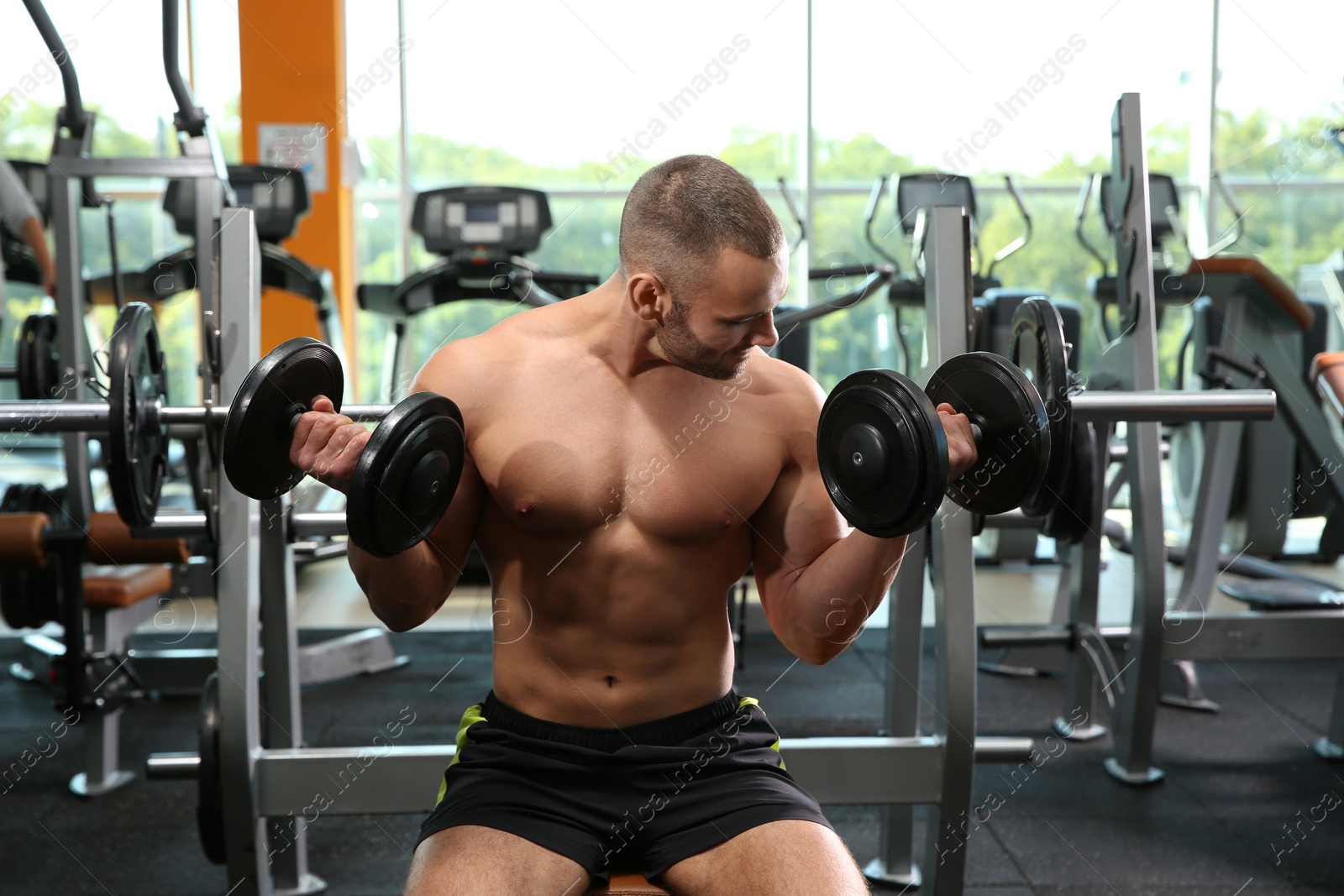 Photo of Strong young man lifting dumbbells in gym