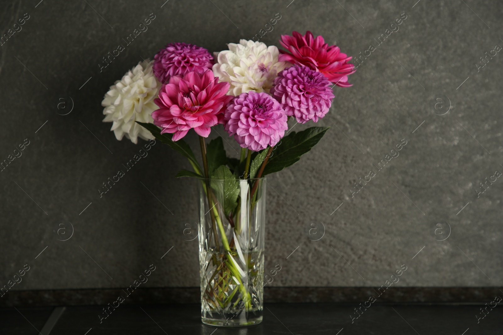 Photo of Bouquet of beautiful Dahlia flowers in vase on black table near dark grey textured wall