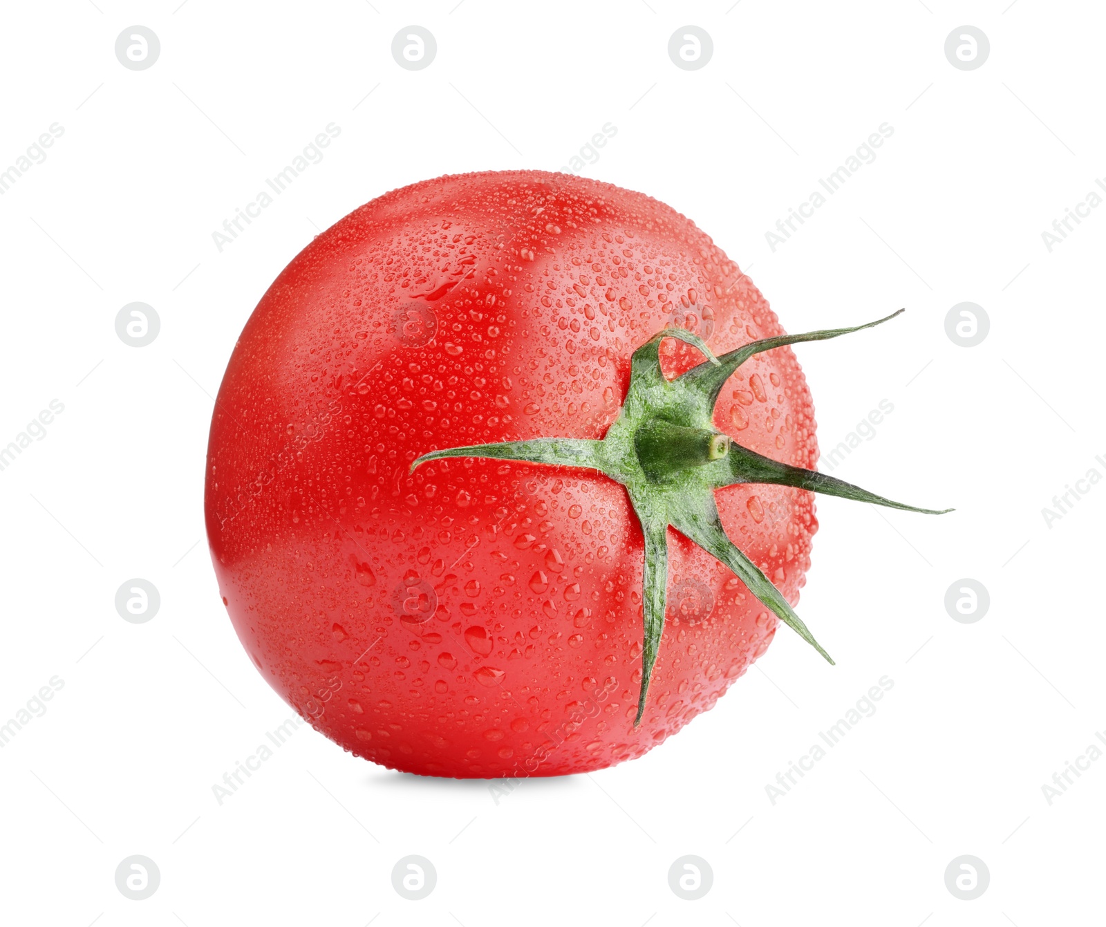 Photo of One red ripe tomato with water drops isolated on white