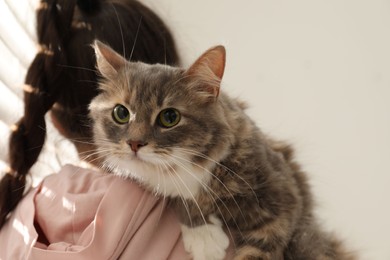 Photo of Little girl with cute cat at home. First pet