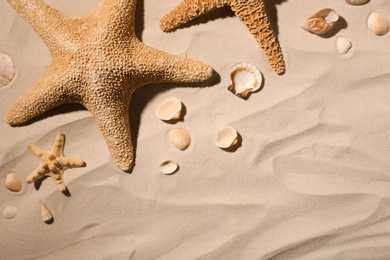 Photo of Starfishes and seashells on beach sand, top view. Space for text