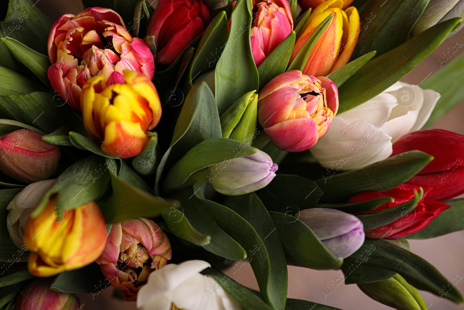 Photo of Beautiful bouquet of colorful tulip flowers, closeup