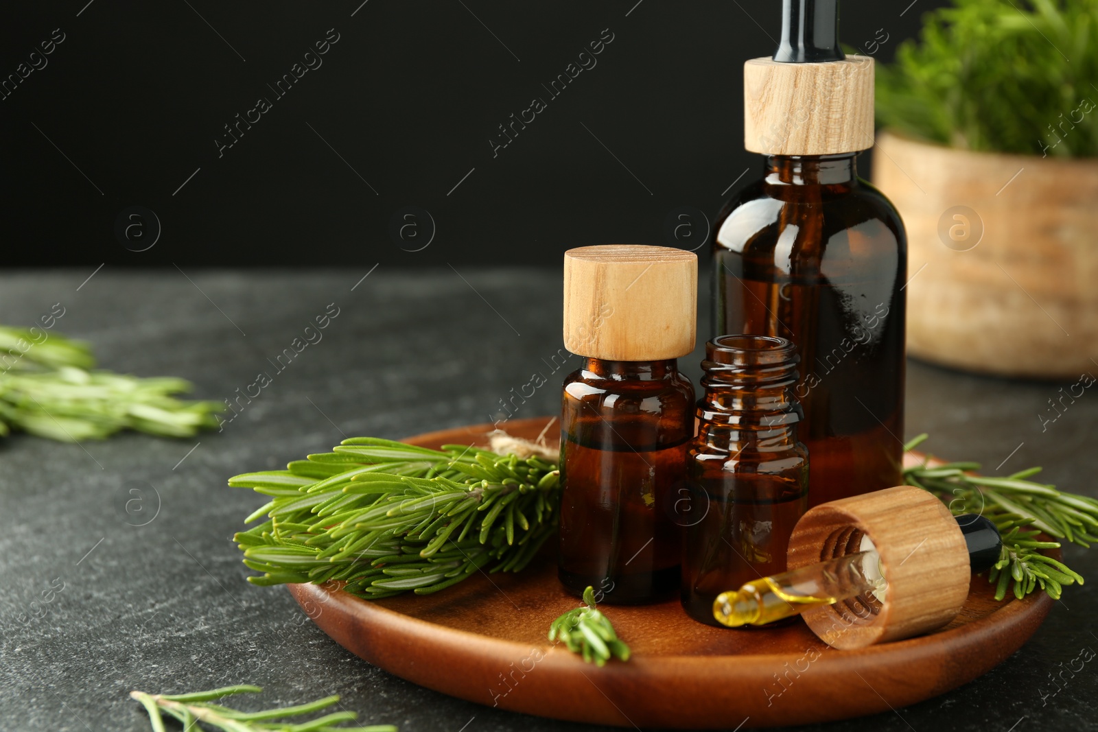 Photo of Essential oils in bottles and rosemary on gray table, closeup. Space for text