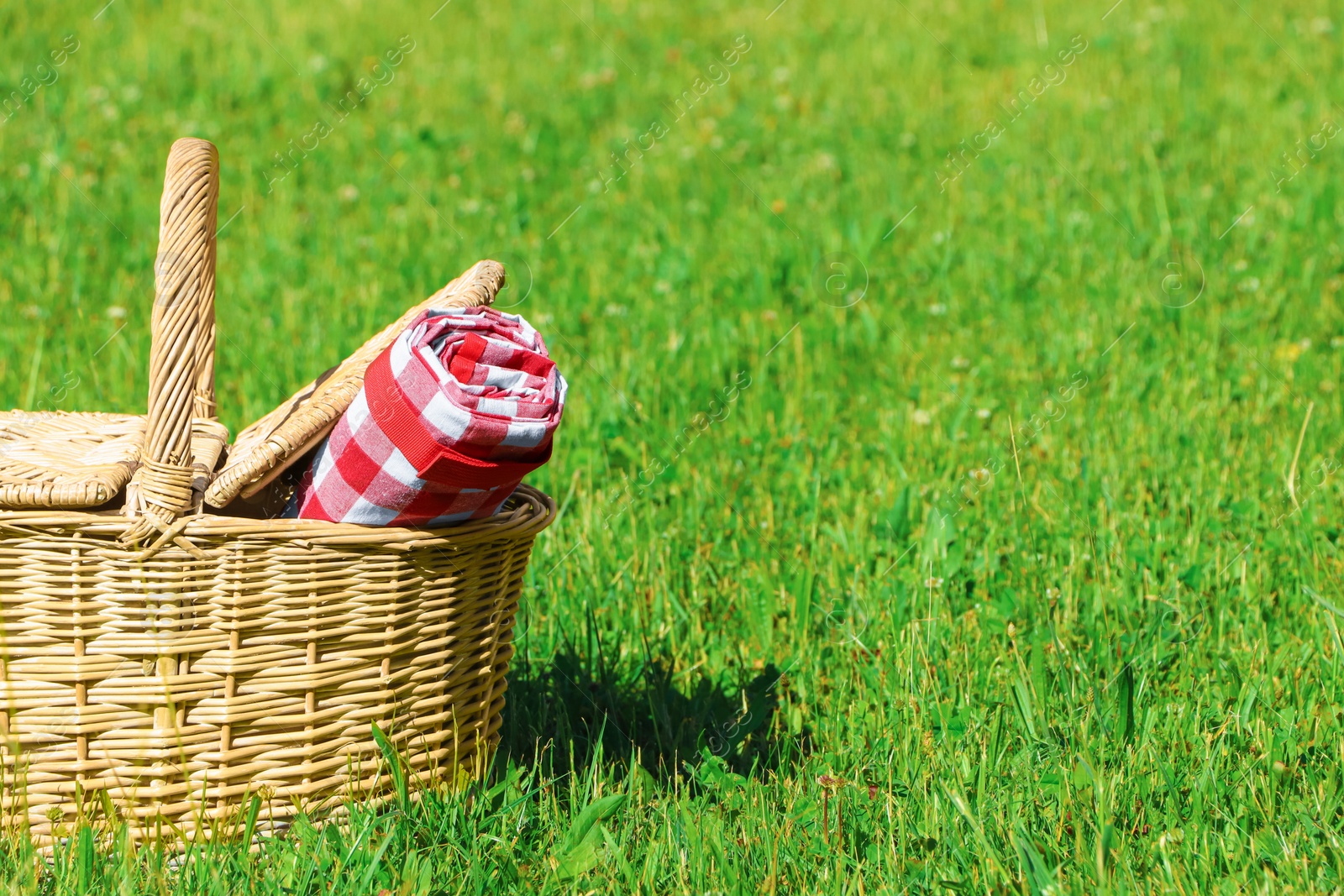 Photo of Rolled checkered tablecloth in picnic basket on green grass outdoors, space for text