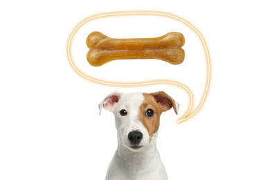 Image of Cute Jack Russell Terrier asking for tasty treat on white background. Speech bubble with chew bone