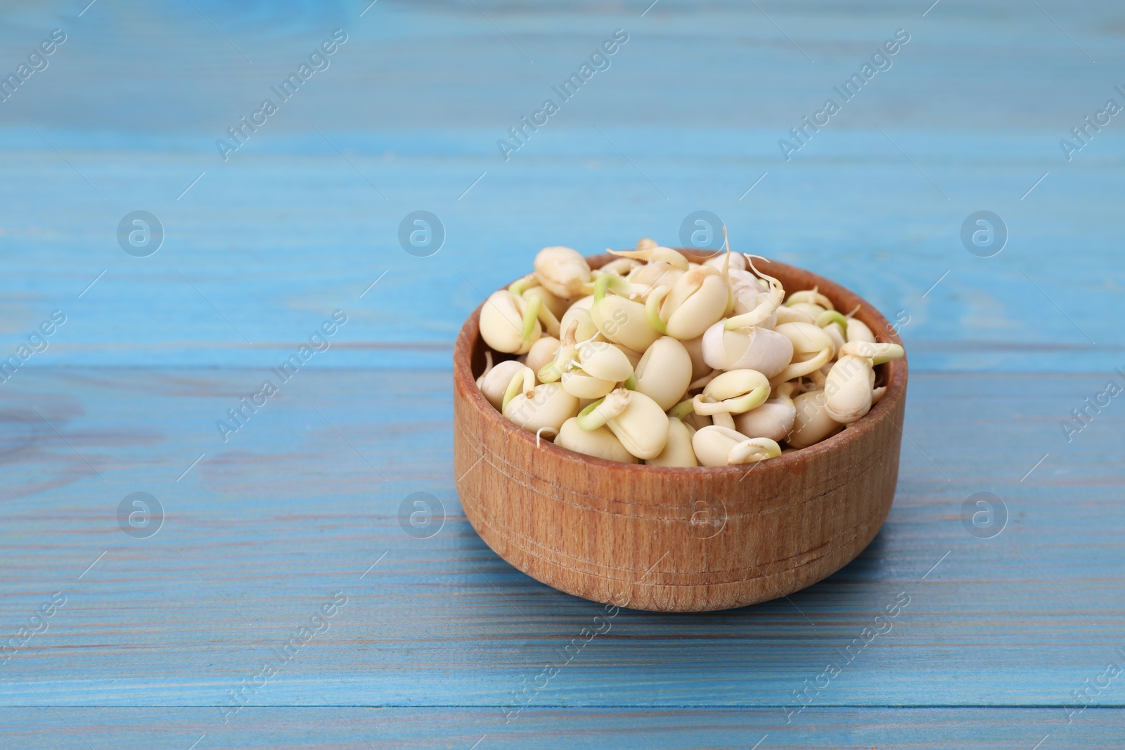 Photo of Sprouted kidney beans in bowl on light blue wooden table, closeup. Space for text