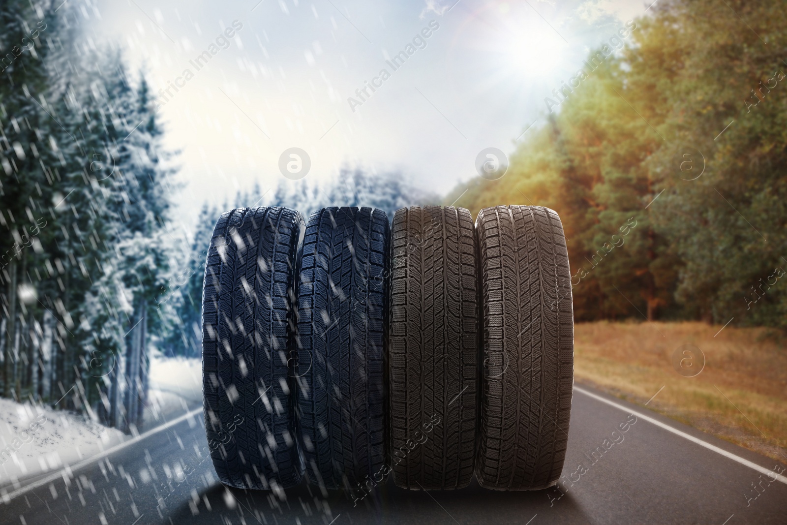 Image of Set of new winter and summer tires on asphalt road, collage