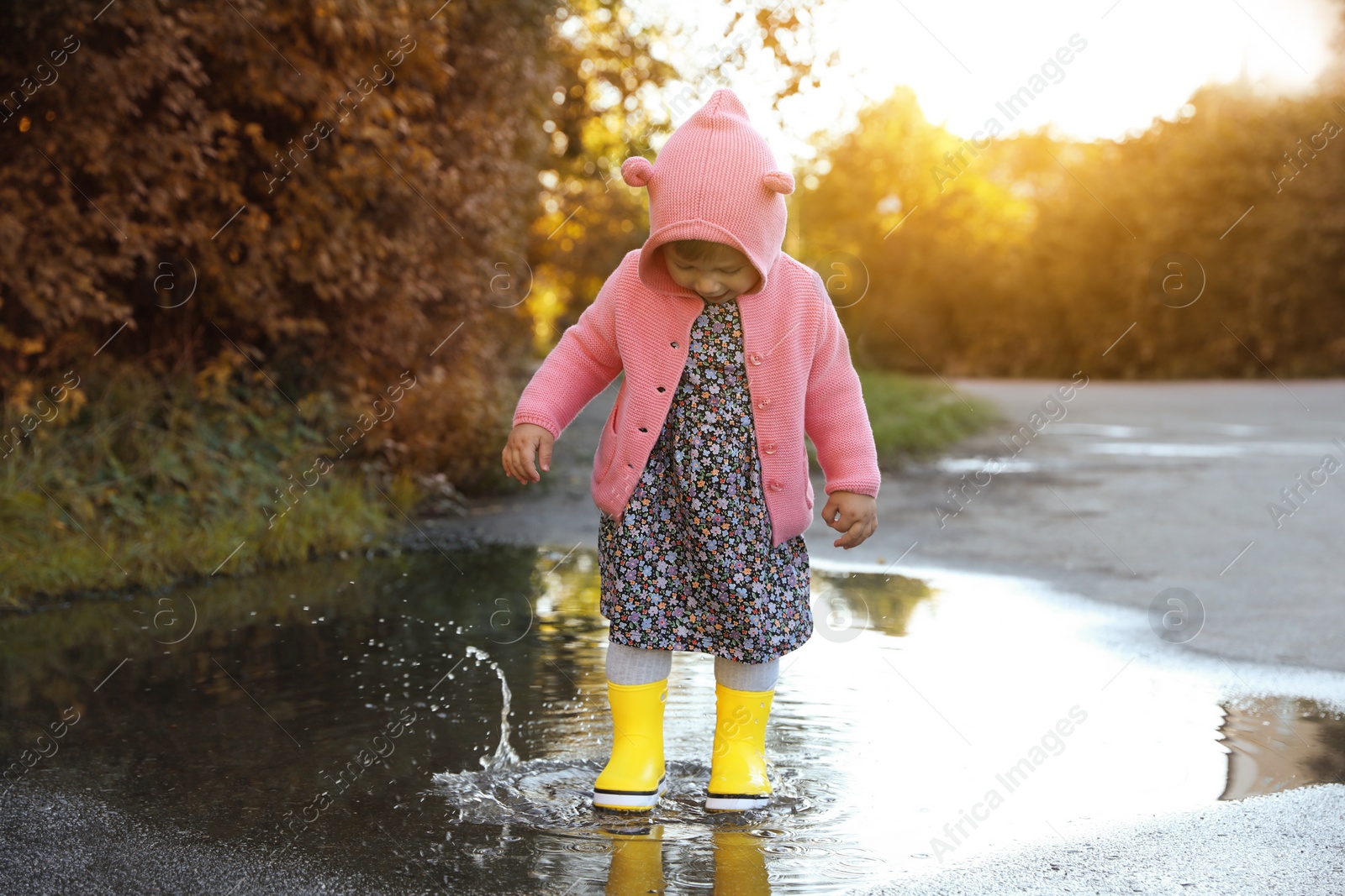 Photo of Little girl wearing rubber boots walking in puddle outdoors