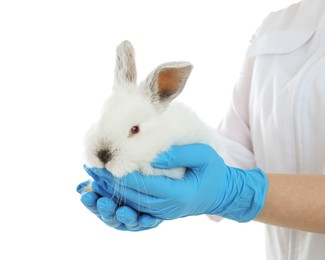 Photo of Scientist holding rabbit on white background, closeup. Animal testing concept