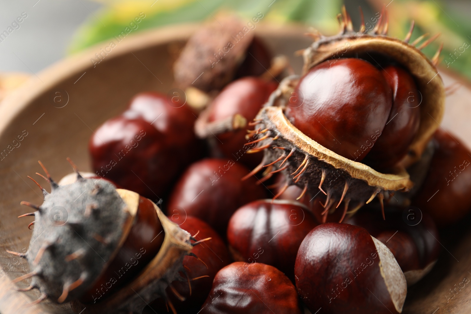 Photo of Horse chestnuts in wooden bowl, closeup view