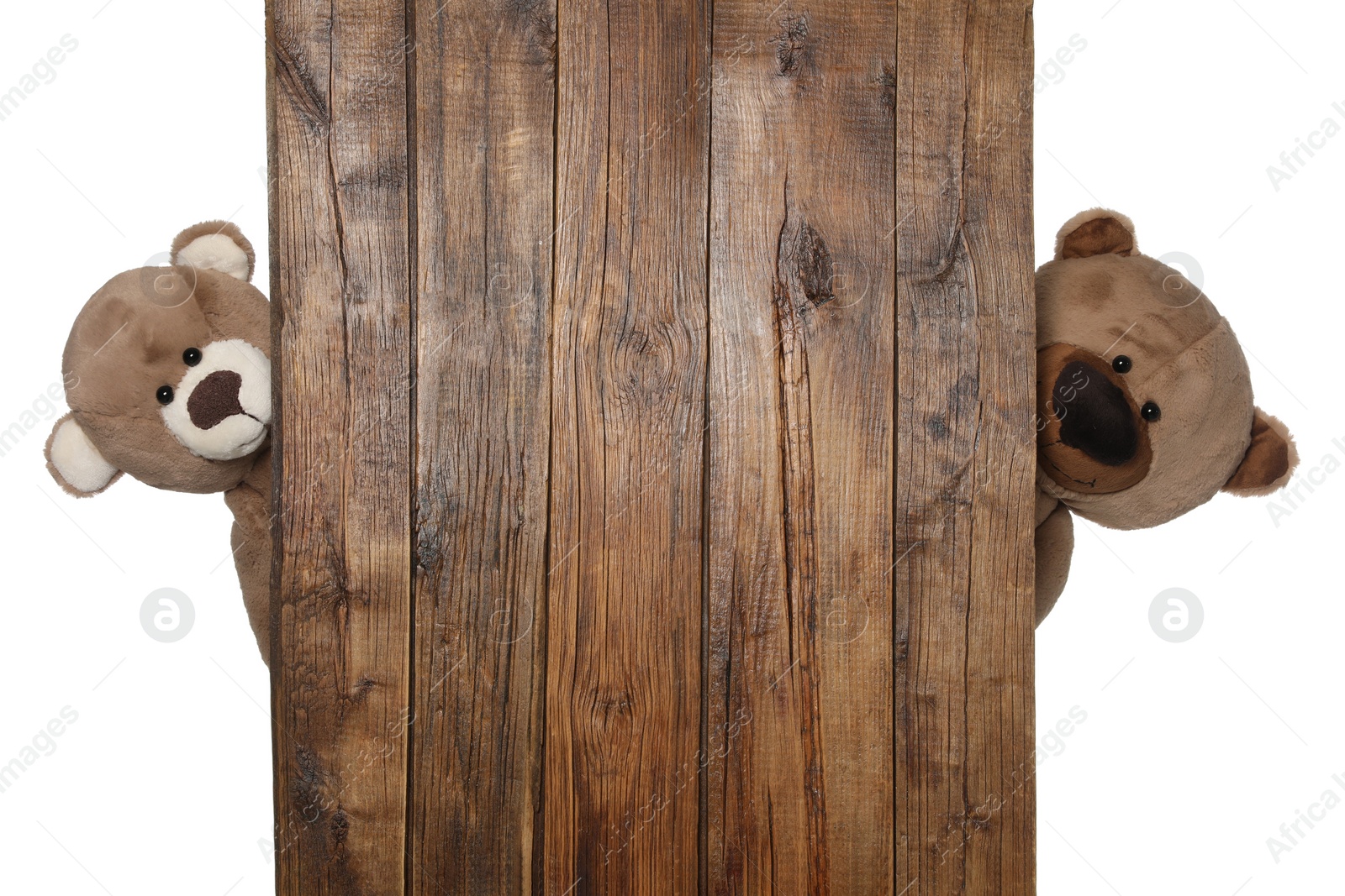 Photo of Cute teddy bears peeking out of wooden board on white background