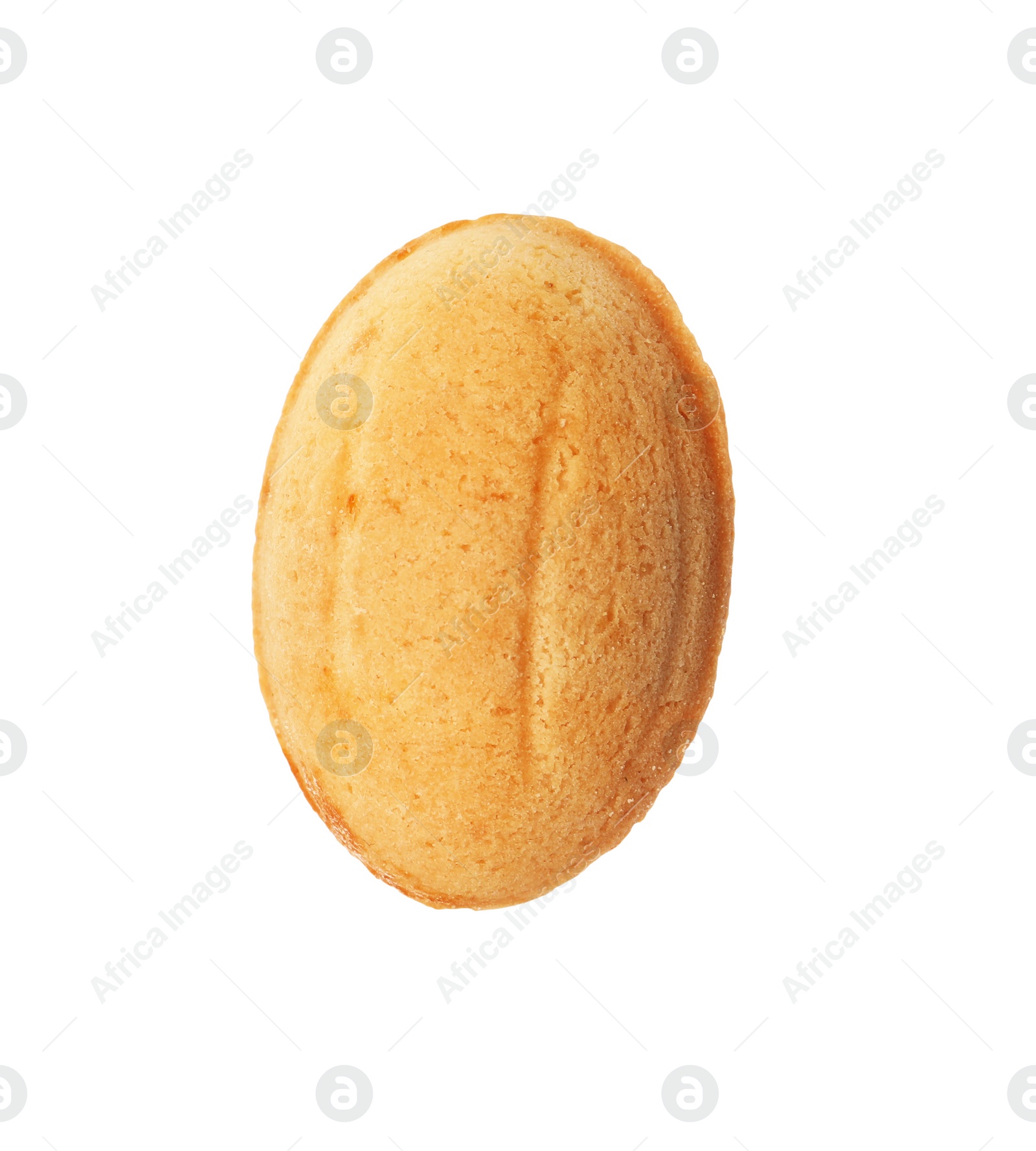 Photo of Half of delicious nut shaped cookie isolated on white