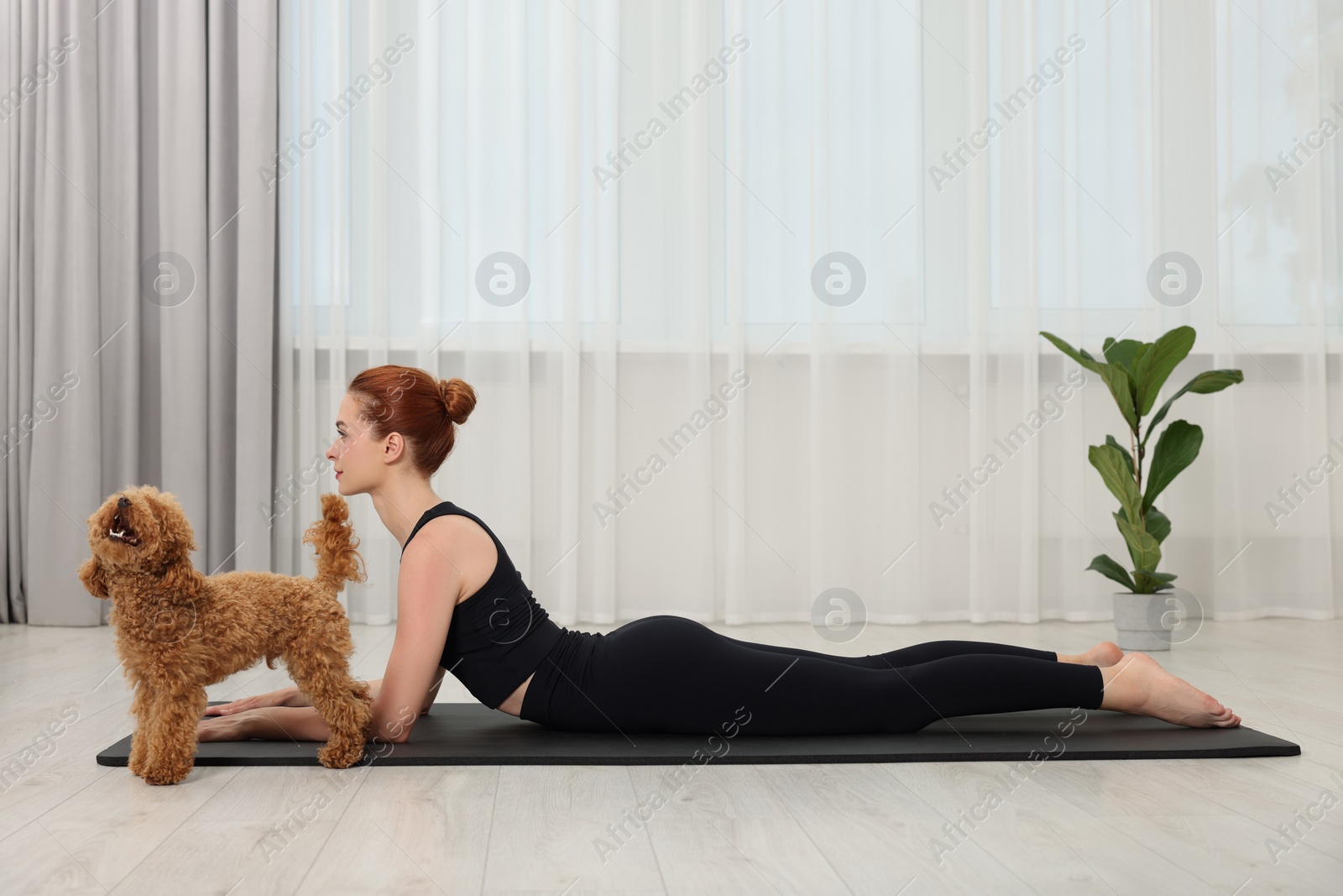 Photo of Young woman practicing yoga on mat with her cute dog indoors