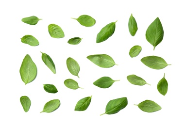 Photo of Fresh green basil leaves on white background, top view