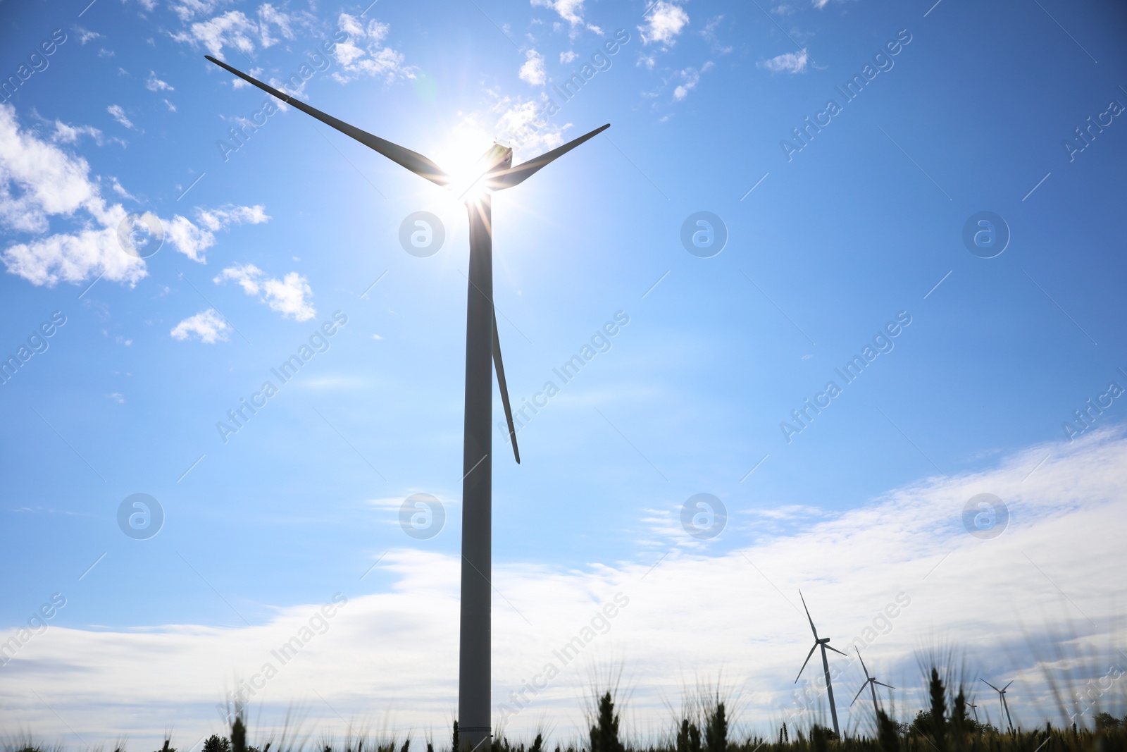 Photo of Field with wind turbines, low angle view. Alternative energy source