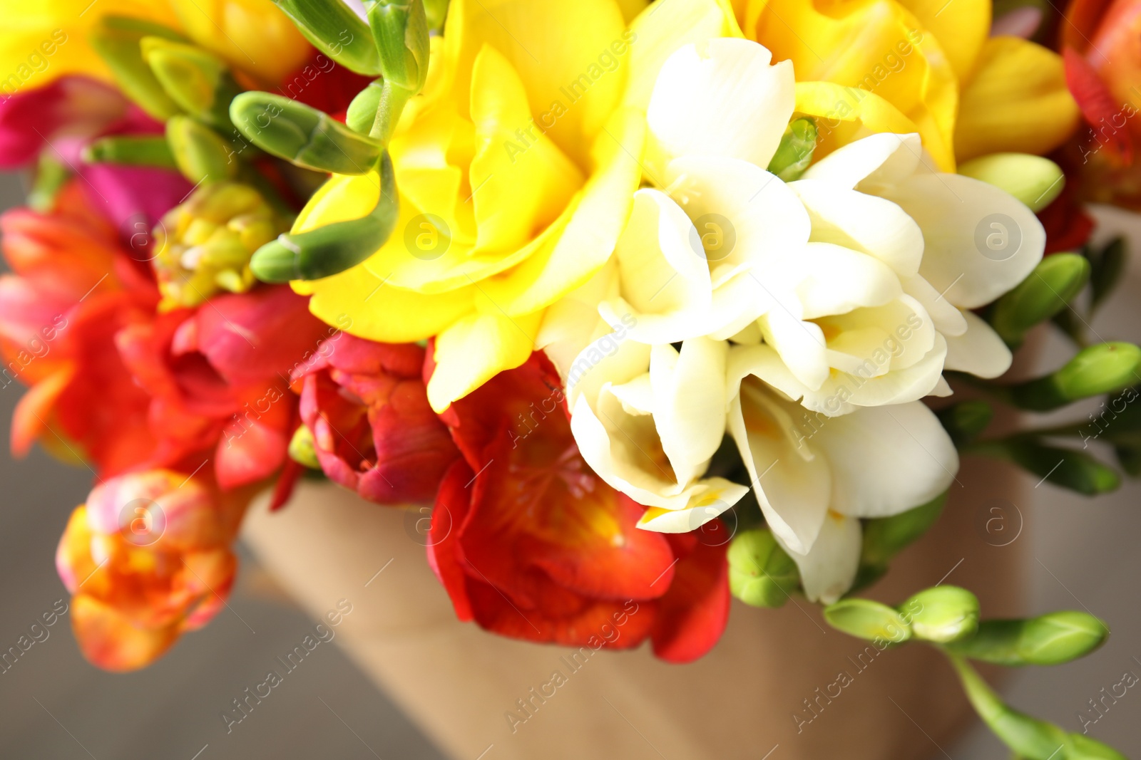 Photo of Bouquet of beautiful spring freesia flowers, closeup