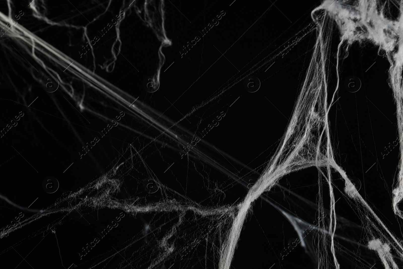 Photo of Creepy white cobweb on black background, closeup