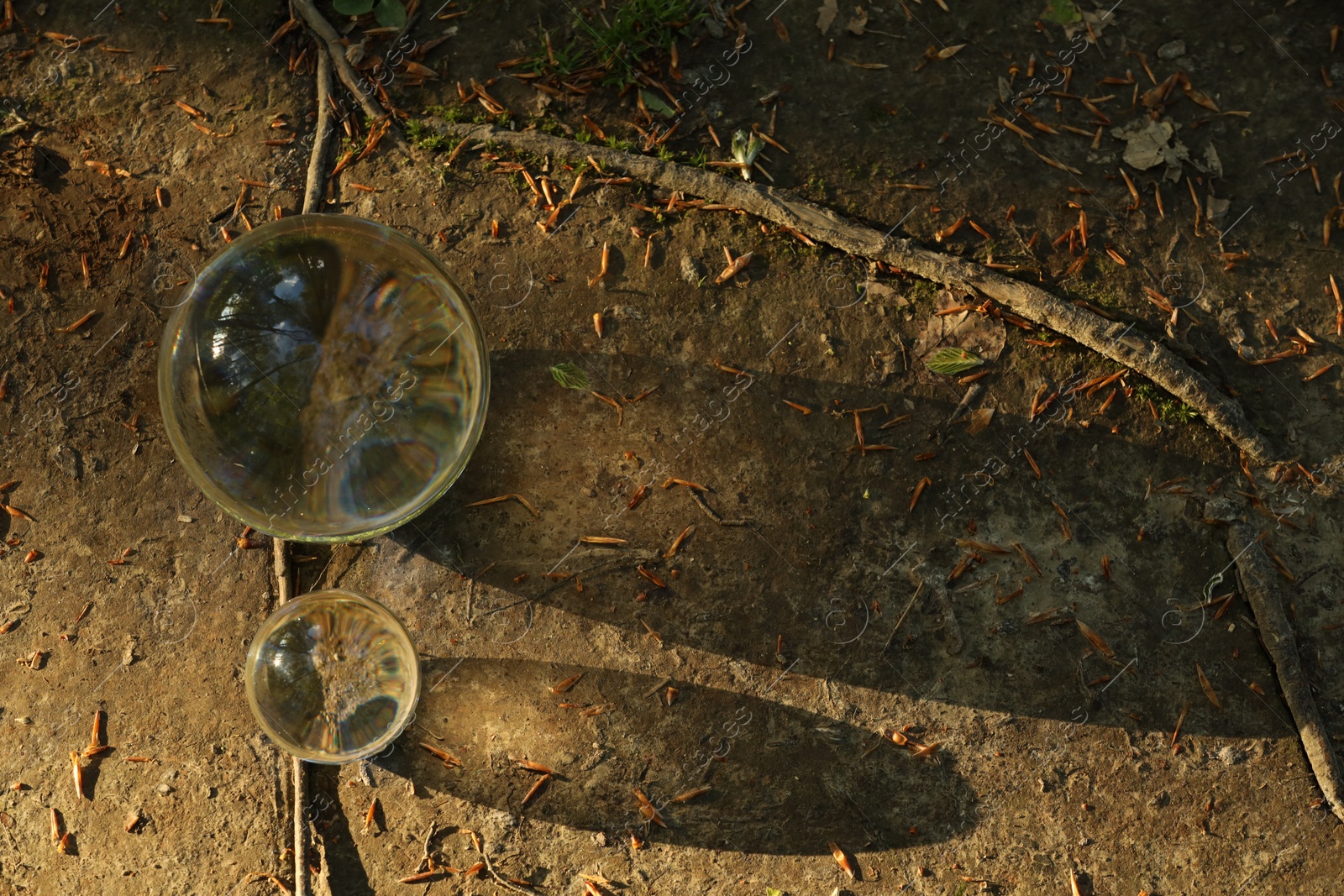 Photo of Beautiful forest, overturned reflection. Crystal balls on ground outdoors