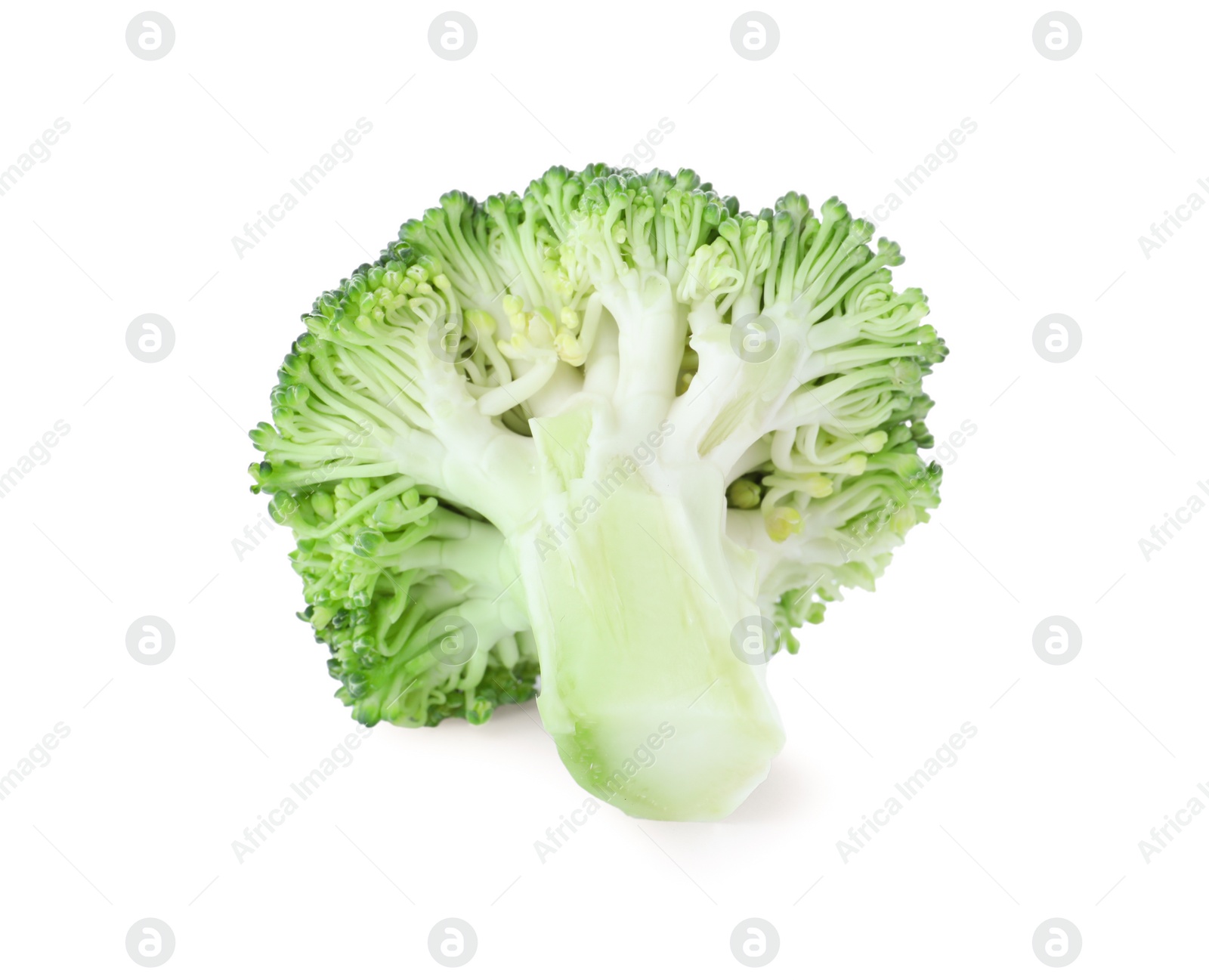 Photo of Fresh green broccoli isolated on white. Organic food