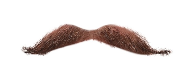 Image of Stylish brown mustache isolated on white. Facial hair