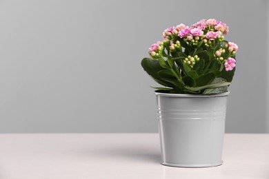 Photo of Beautiful potted kalanchoe flower on white table near grey wall, space for text