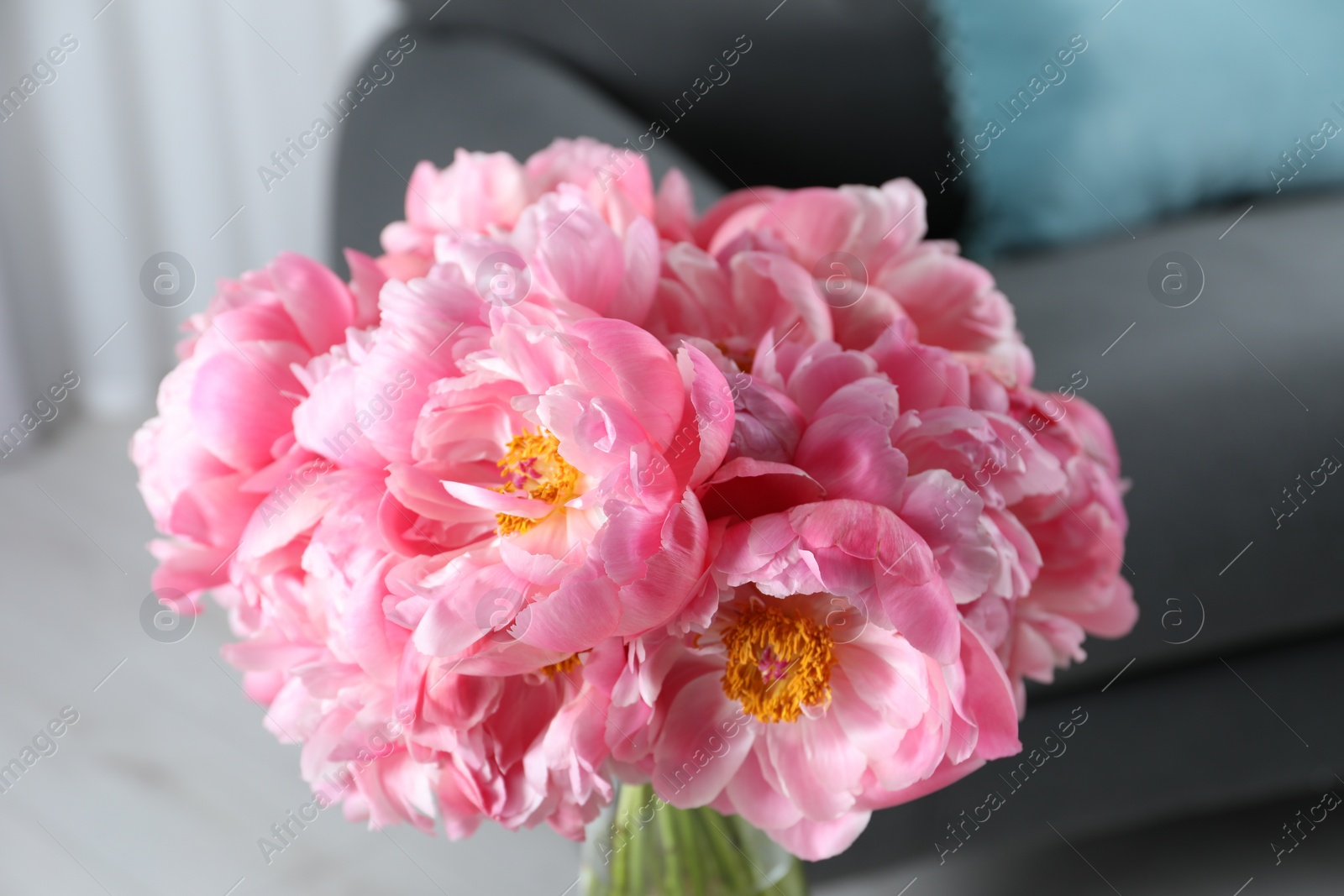 Photo of Beautiful bouquet of pink peonies in vase indoors, closeup