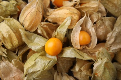 Ripe physalis fruits with calyxes as background, closeup